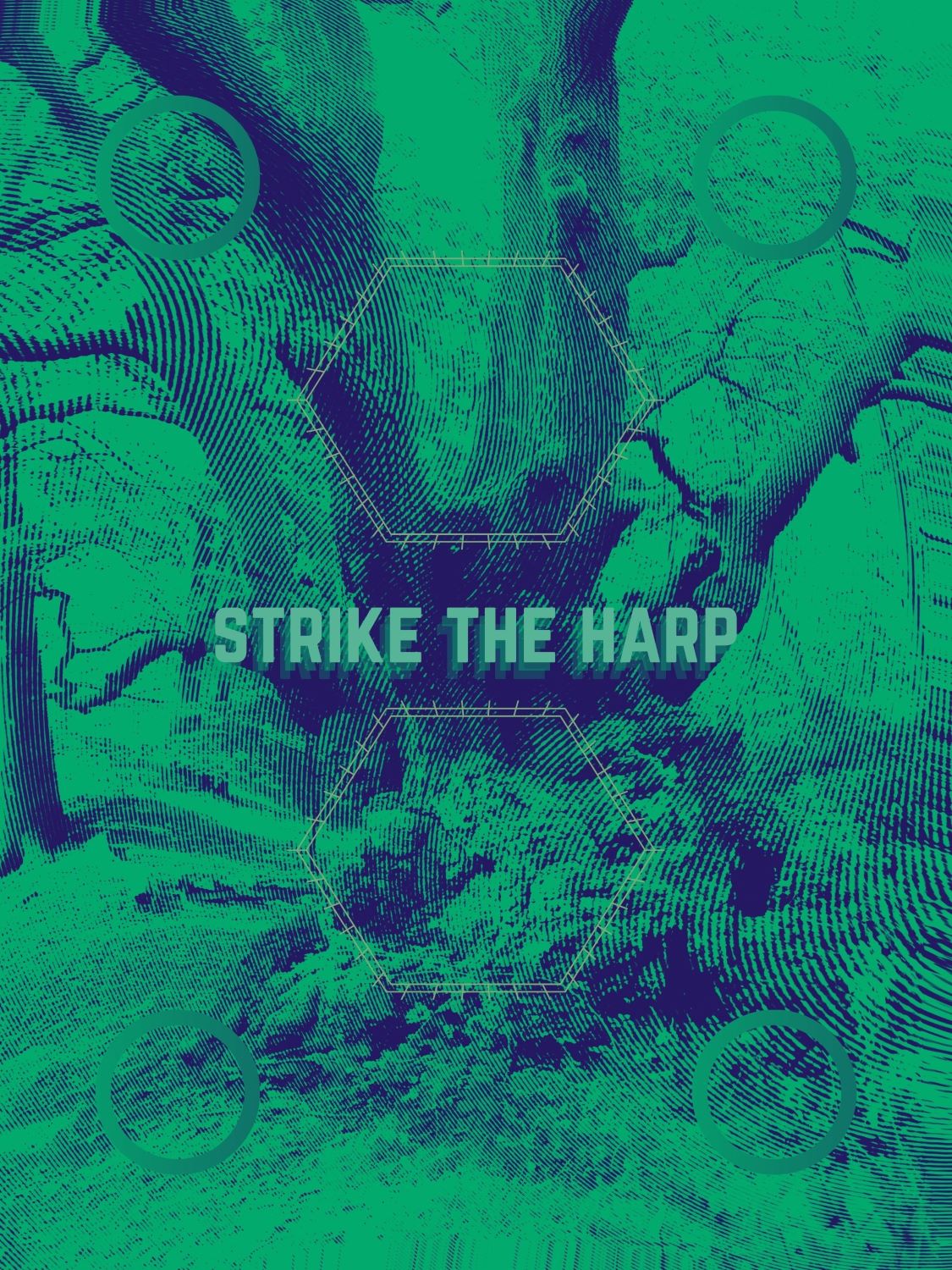 Strike the harp - track artwork